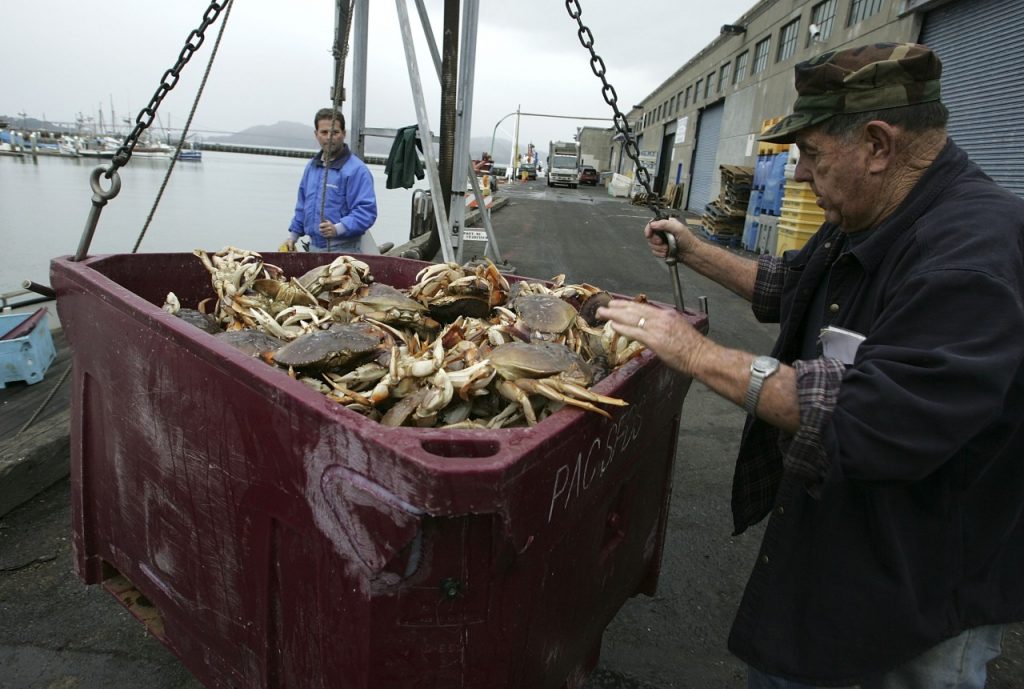 Dungeness Crab Season Opens In San Francisco CFIM