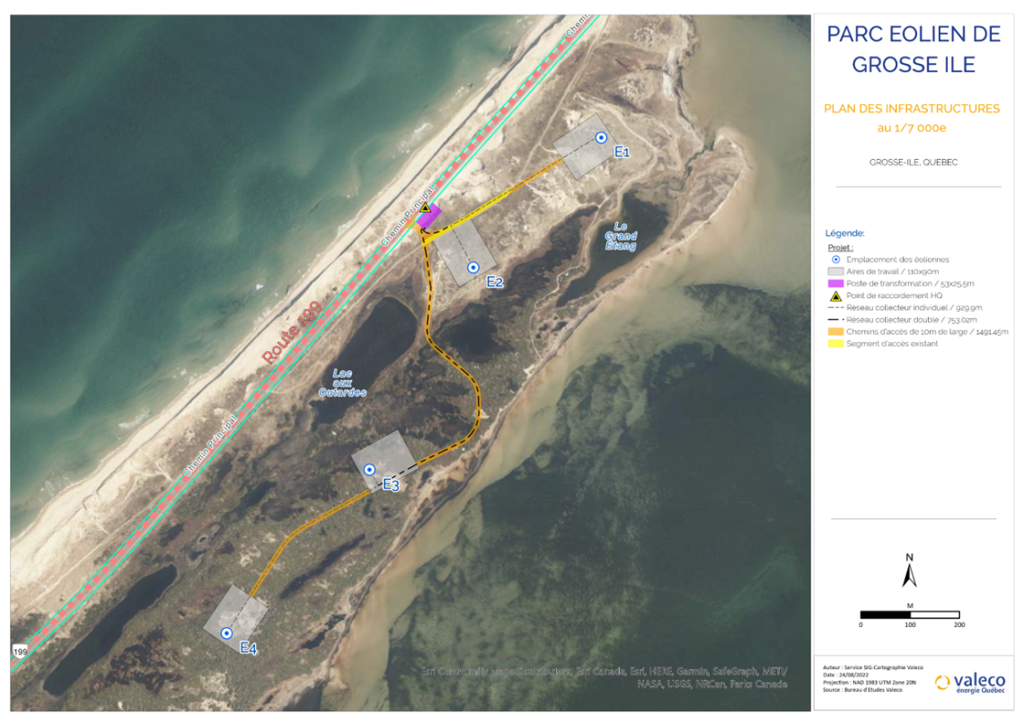 Parc éolien de GrosseÎle la biodiversité au cœur de la consultation